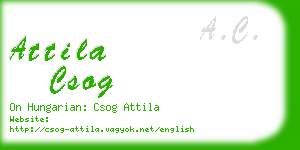 attila csog business card